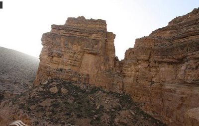 فدامی-دره-آکواریوم-62034