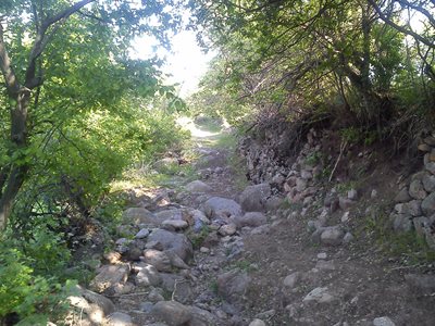 میانه-روستای-بادلو-62932