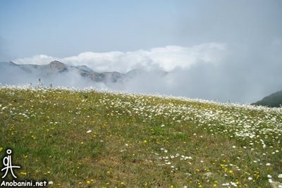 لوندویل-روستای-کوته-کومه-65217