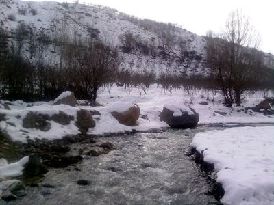 مشگین-شهر-پارک-جنگلی-خیاو-چایی-68358