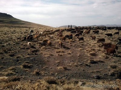 میانه-روستای-داش-بلاخ-68750