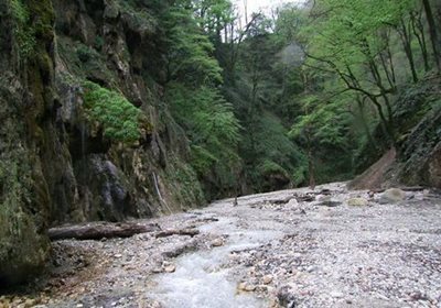 گرگان-آبشار-باران-کوه-70830