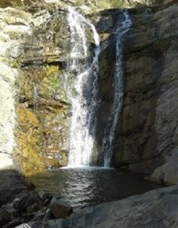 آبشار برگ جهان
