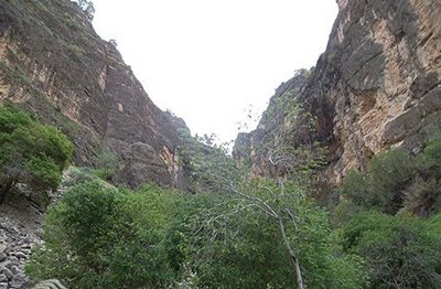 نورآباد-آبشار-تنگسا-71569