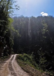 تنکابن-آبشار-تودارک-71601