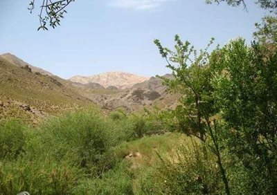 کرمان-آبشار-دره-وامق-آباد-74628