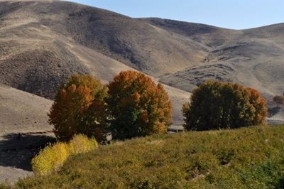 هرسین-روستای-گره-بان-75463