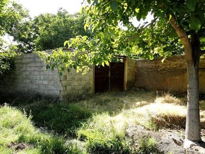 خامنه-کوچه-باغ-های-خامنه-76569