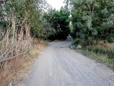 خامنه-کوچه-باغ-های-خامنه-76581