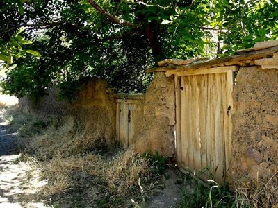 خامنه-کوچه-باغ-های-خامنه-76576