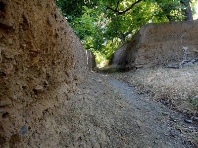 خامنه-کوچه-باغ-های-خامنه-76571