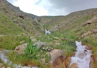 آمل-آبشار-قو-77701