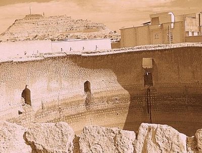 گراش-برکه-کل-77790