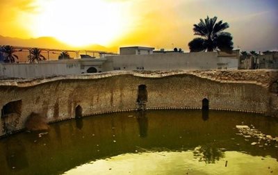 گراش-برکه-کل-77789