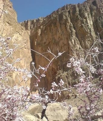 لردگان-آبشار-میلان-78781