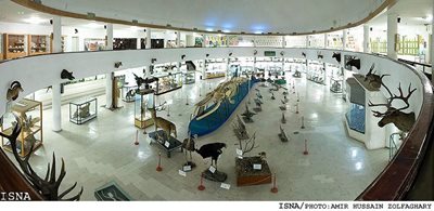 شیراز-موزه-تاریخ-طبیعی-دانشگاه-شیراز-78818