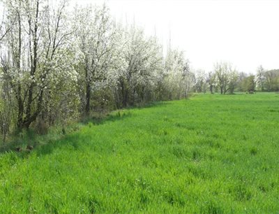 روستای پیر بداغ