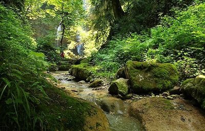 سواد-کوه-آبشار-ولیلا-79493