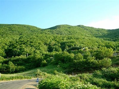 روستای کرد آباد