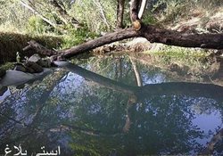 چشمه آبگرم ایستی بلاغ (ایستی بلاخ)