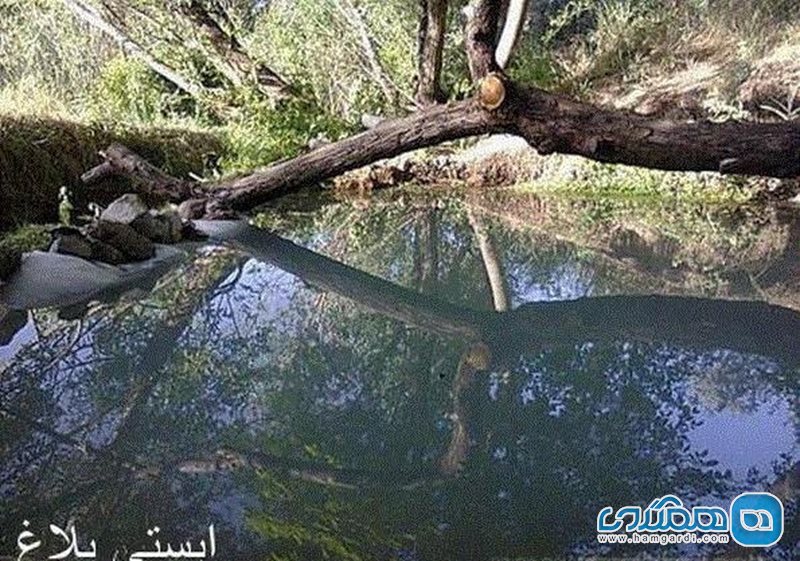 چشمه آبگرم ایستی بلاغ