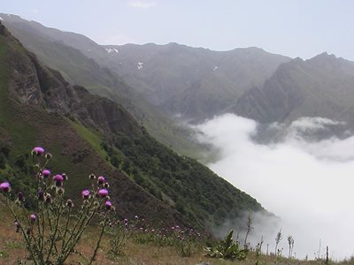 ماه-نشان-روستای-انگوران-80271