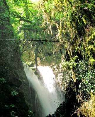 تنکابن-آبشارهای-کوه-سر-80501