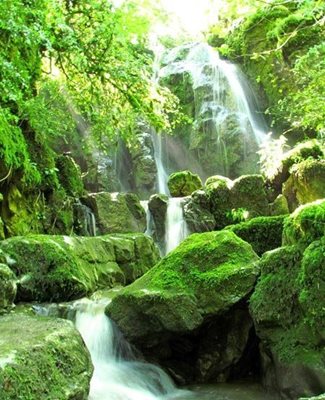 تنکابن-آبشارهای-کوه-سر-80504