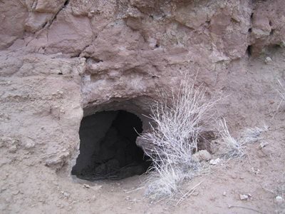 فاروج-روستای-خسرویه-81067
