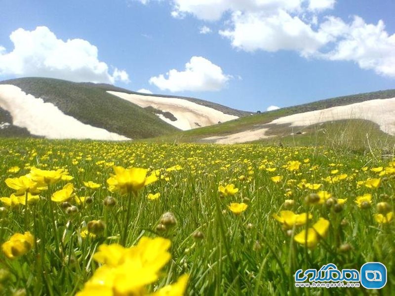 کوه سهند