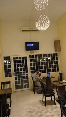 تنکابن-تریا-گندم-83139