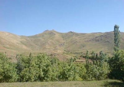 میانه-دوشمنلی-گولو-83348