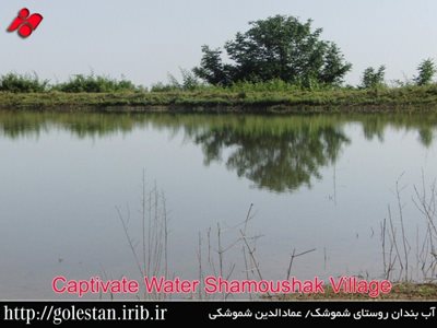 گرگان-آب-بندان-روستای-شموشک-83905