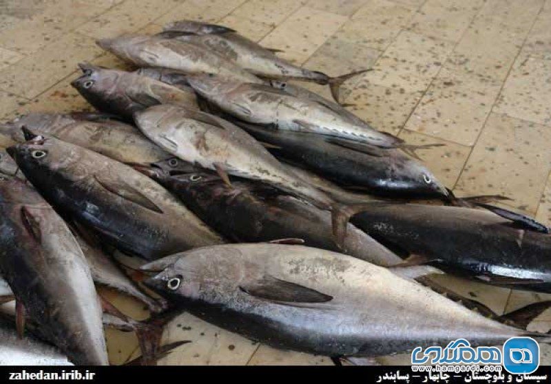 اسکله پسابندر