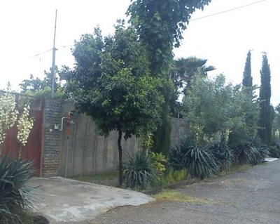 علی-آباد-کتول-روستای-مزرعه-85003