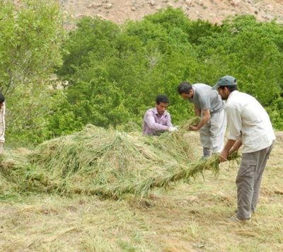 بشرویه-روستای-نیگنان-85084