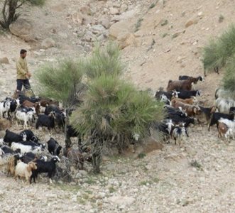 بشرویه-روستای-نیگنان-85092