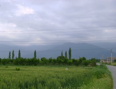 بندر-گز-روستای-لیوان-غربی-85111