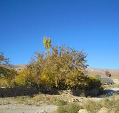 مهریز-روستای-طزنج-85282
