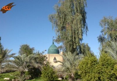 عالی-شهر-امامزاده-زید-بن-علی-بوشهر-85767