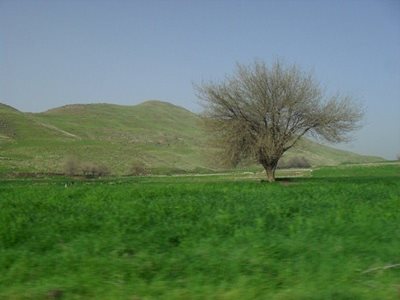 چرداول-شهر-تاریخی-سیروان-86079