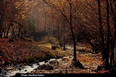 قزوین-روستای-رشتقون-86965