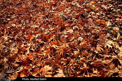 روستای رشتقون