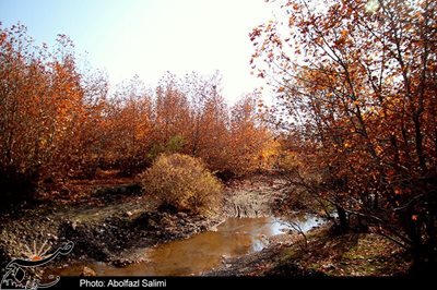 قزوین-روستای-رشتقون-86975