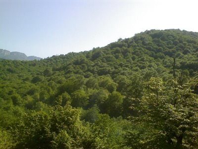 گرگان-آب-بندان-روستای-شموشک-87015
