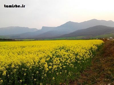 گرگان-آب-بندان-روستای-شموشک-86991