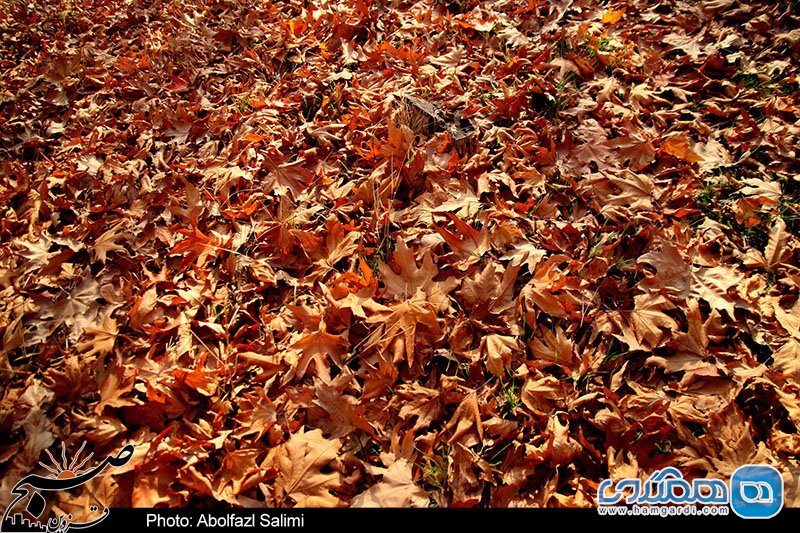 روستای رشتقون