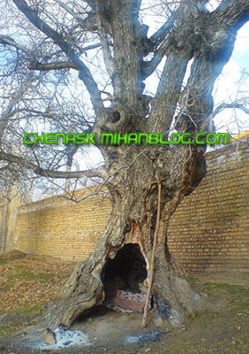 محمدیه-روستای-چناسک-87118