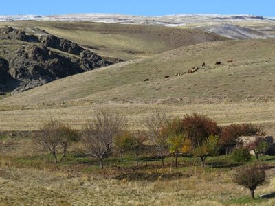 میانه-روستای-کمق-87244