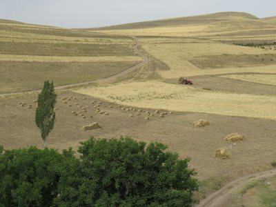 میانه-روستای-کمق-87277